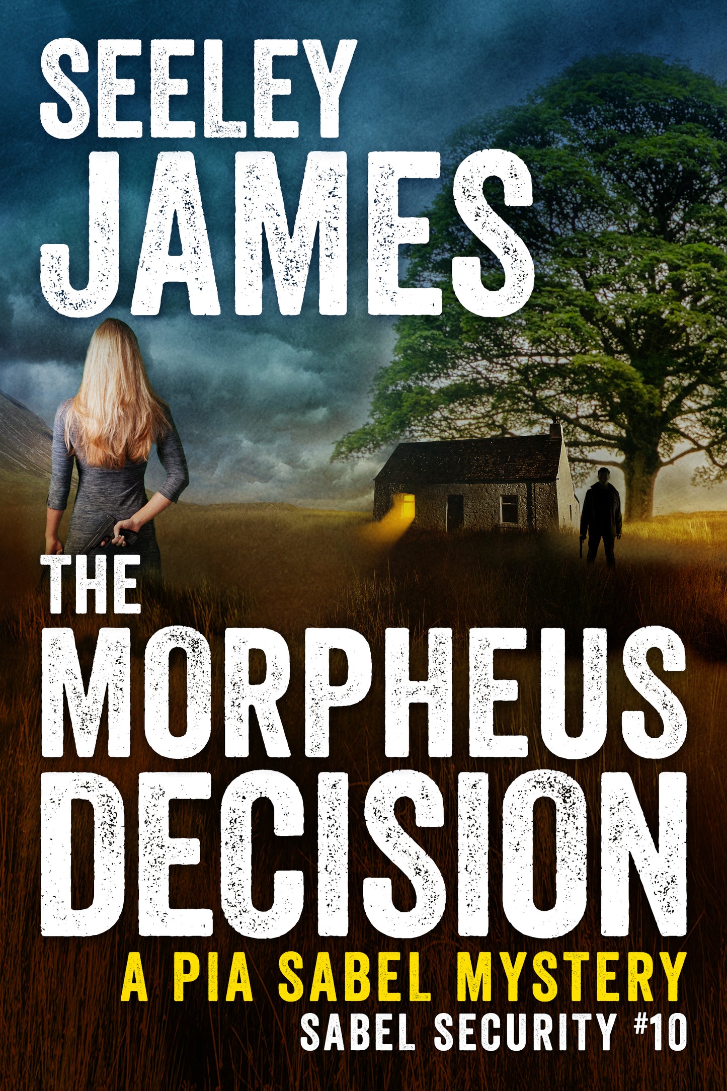 The Morpheus Decision: A Pia Sabel Mystery