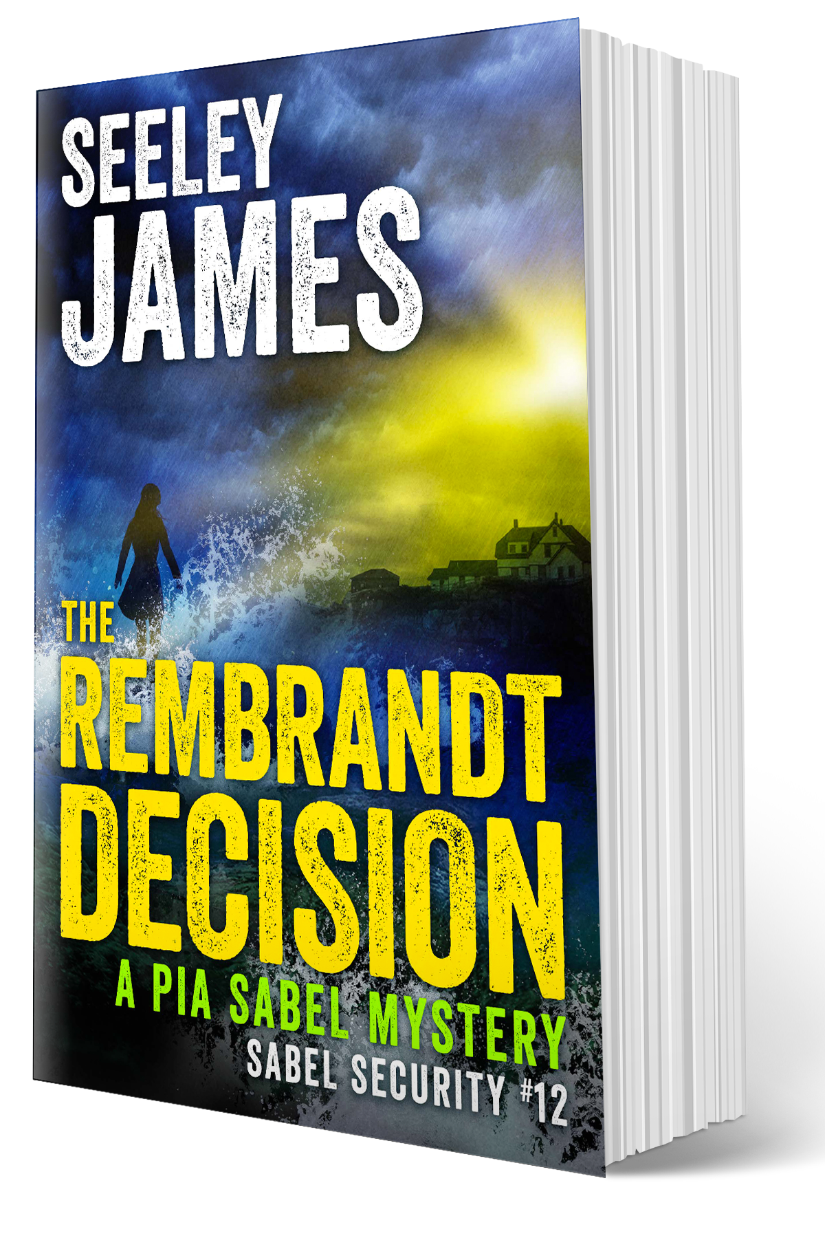 The Rembrandt Decision: A Pia Sabel Mystery - Softcover