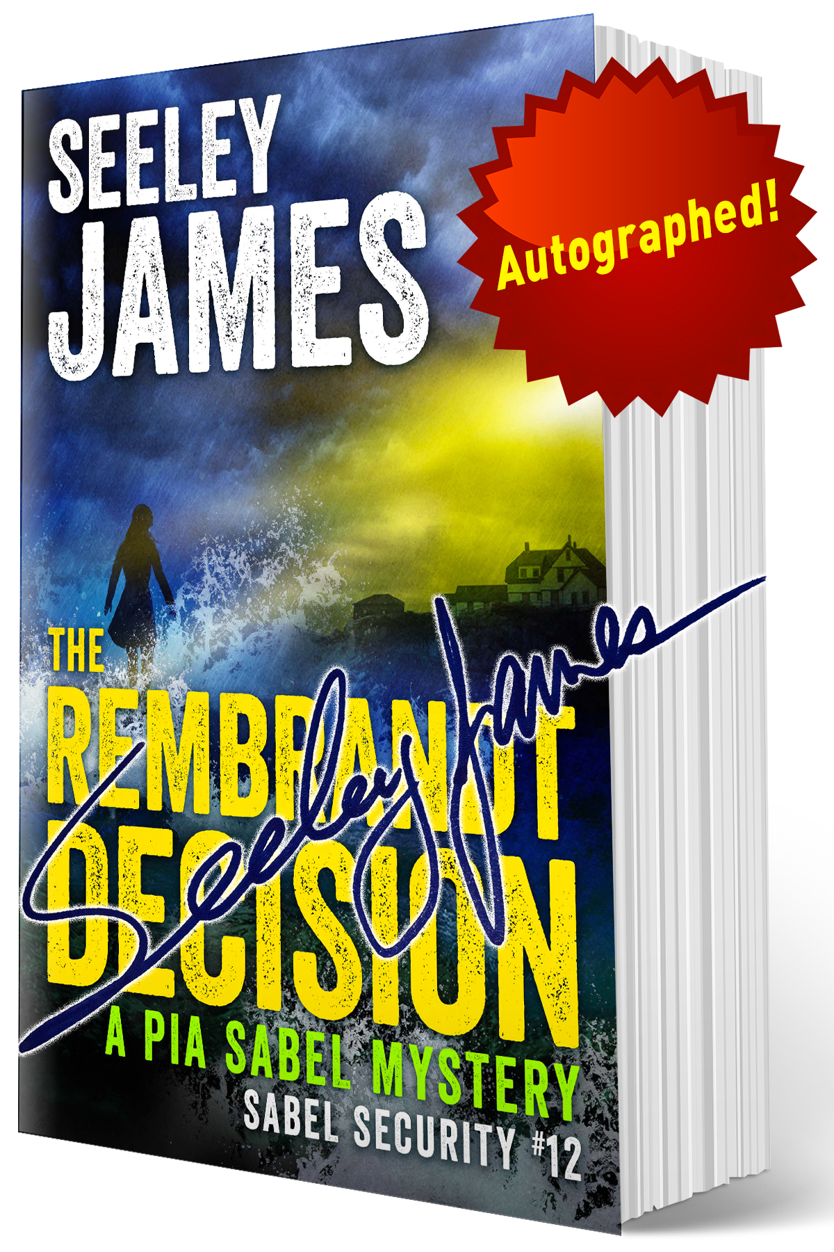 The Rembrandt Decision: A Pia Sabel Mystery - Softcover