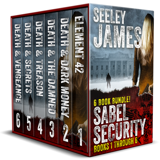Sabel Security SIX BOOK BUNDLE by Seeley James