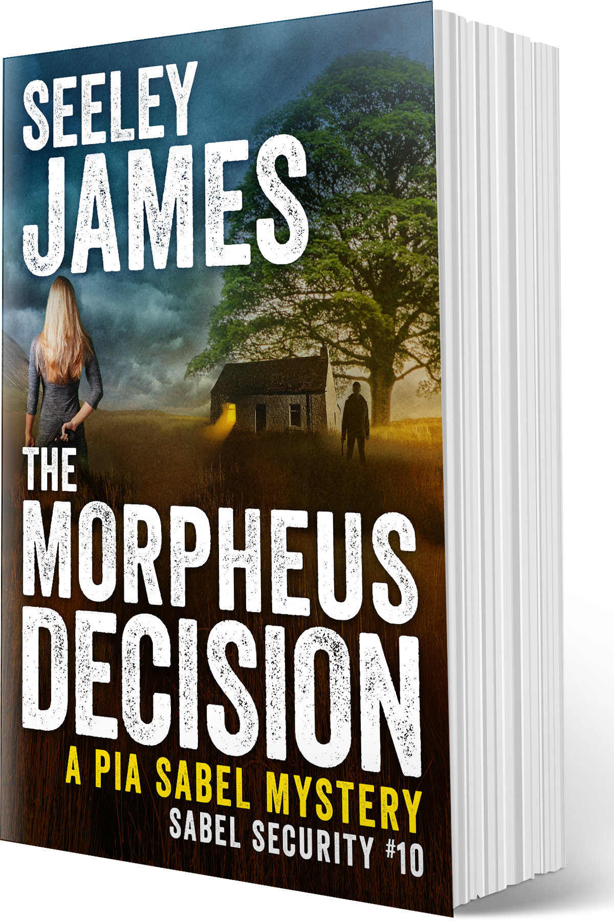 The Morpheus Decision: A Pia Sabel Mystery - Softcover